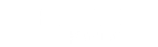 A black background with white text that reads "ORANGE TREE".